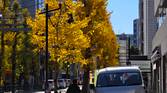 IMG_20221215_111607