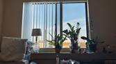 IMG_20221219_155244-1