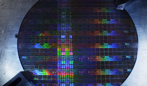A silicon wafer of Intel CPUs moments before destruction.