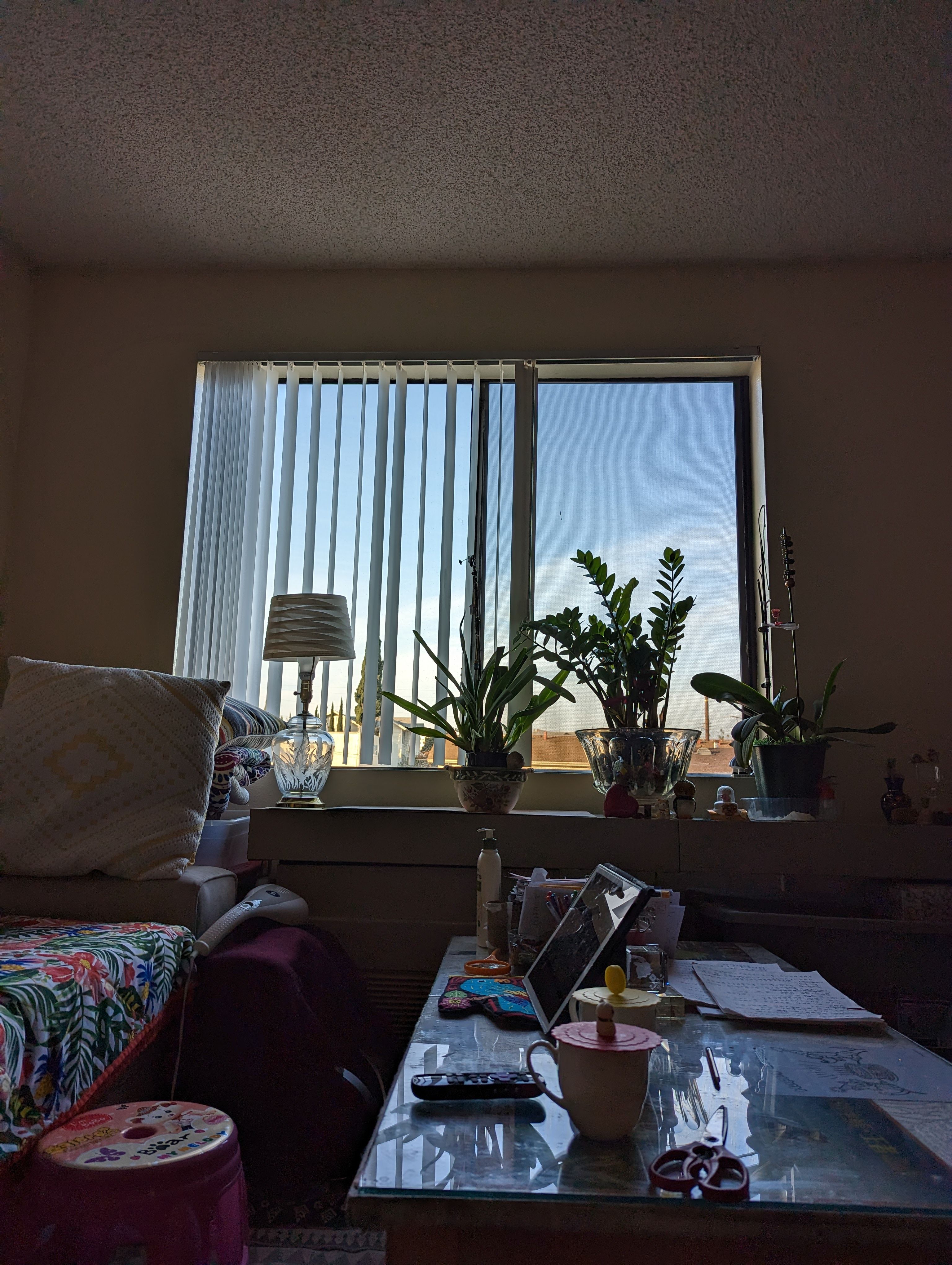 PXL_20221219_235314218-1