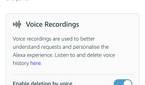 Voic-assistants-history-9