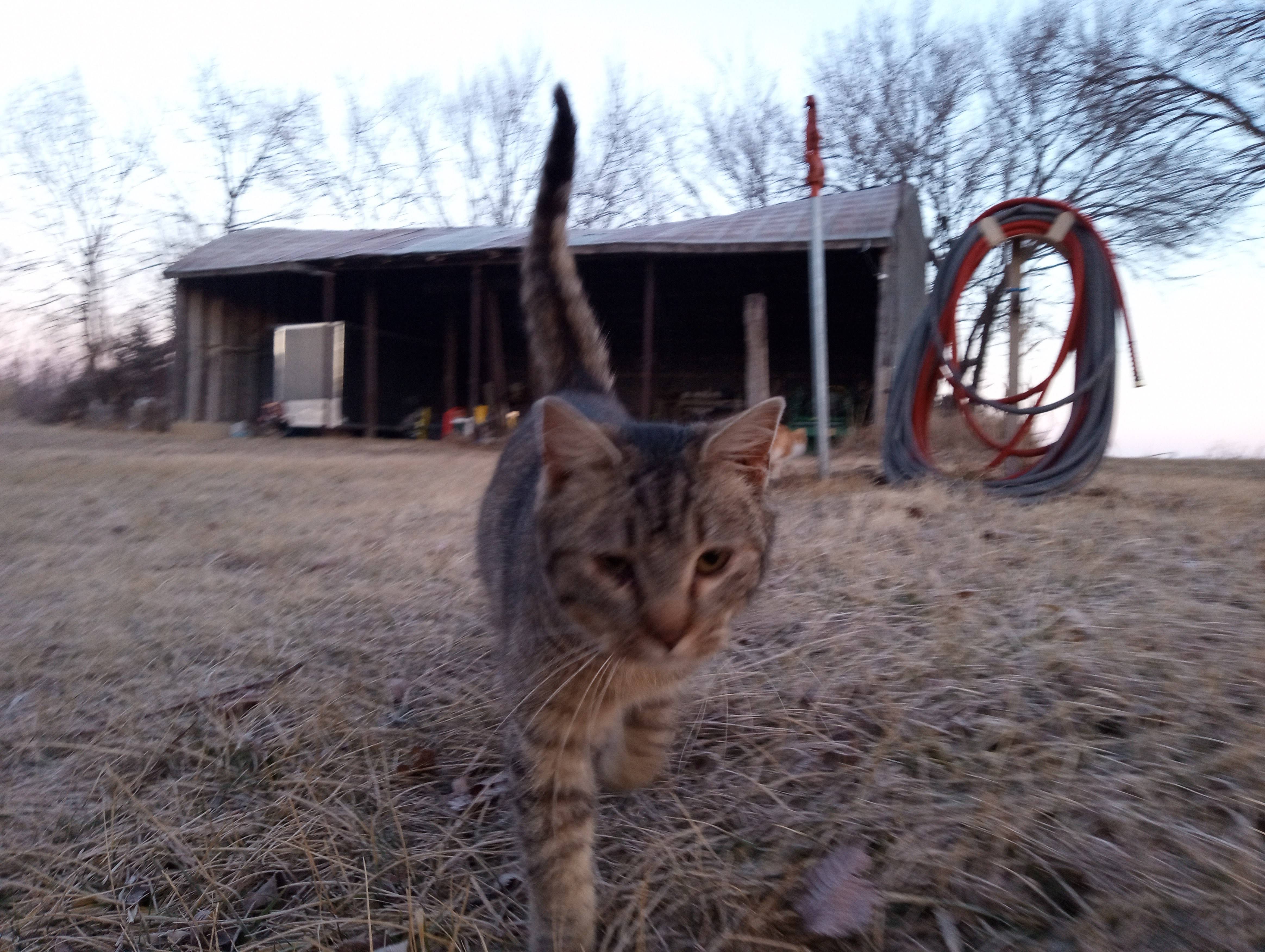 Motorola Moto G Play photo sample - 10