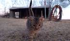Motorola Moto G Play photo sample - 10