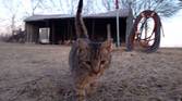 Motorola Moto G Play photo sample - 10