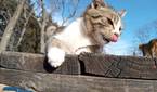 Motorola Moto G Play photo sample - 11