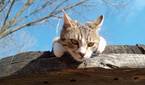 Motorola Moto G Play photo sample - 14
