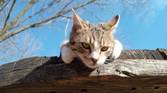 Motorola Moto G Play photo sample - 14