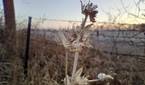 Motorola Moto G Play photo sample - 18