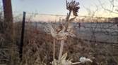 Motorola Moto G Play photo sample - 18