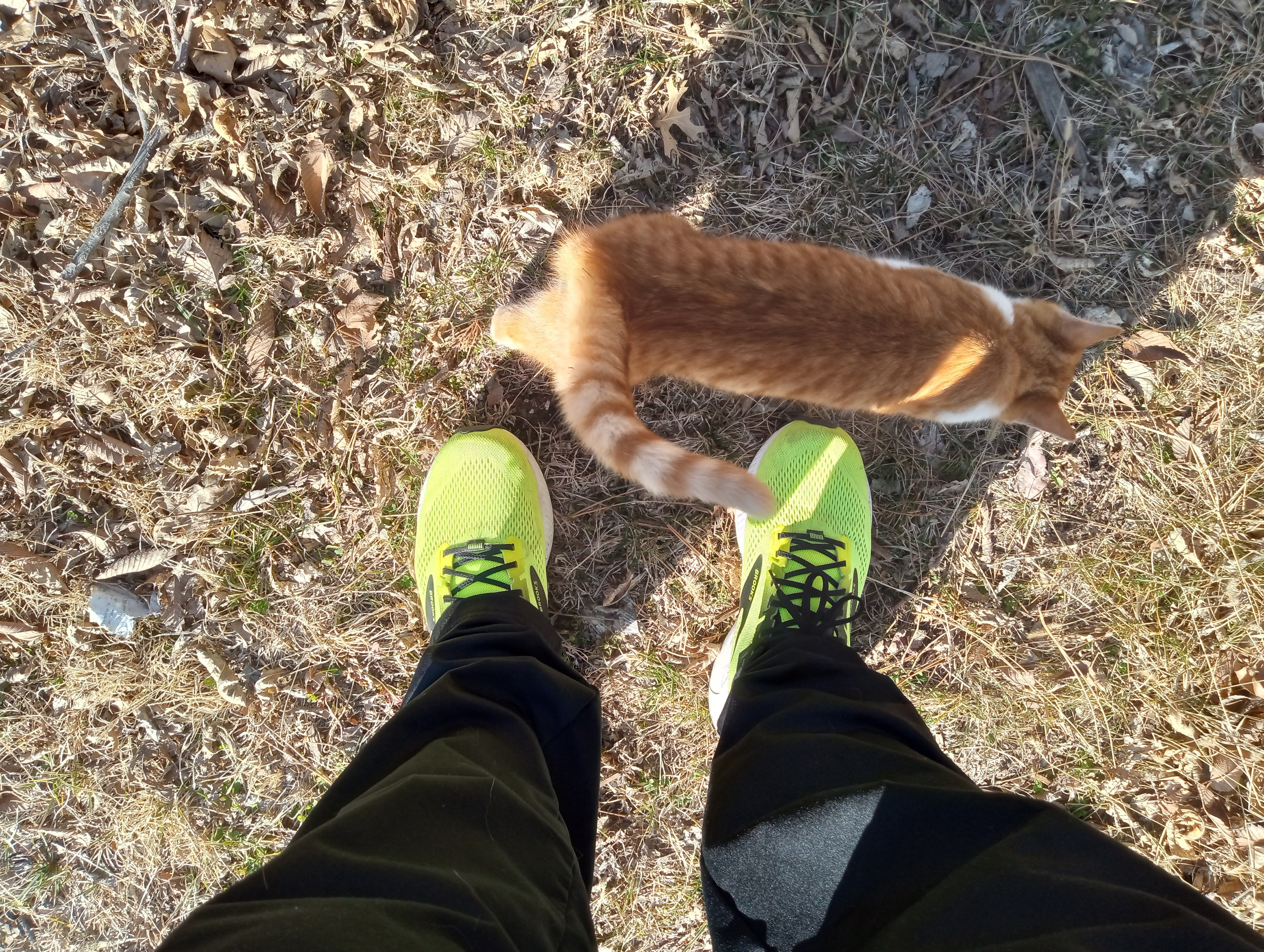 Motorola Moto G Play photo sample - 5
