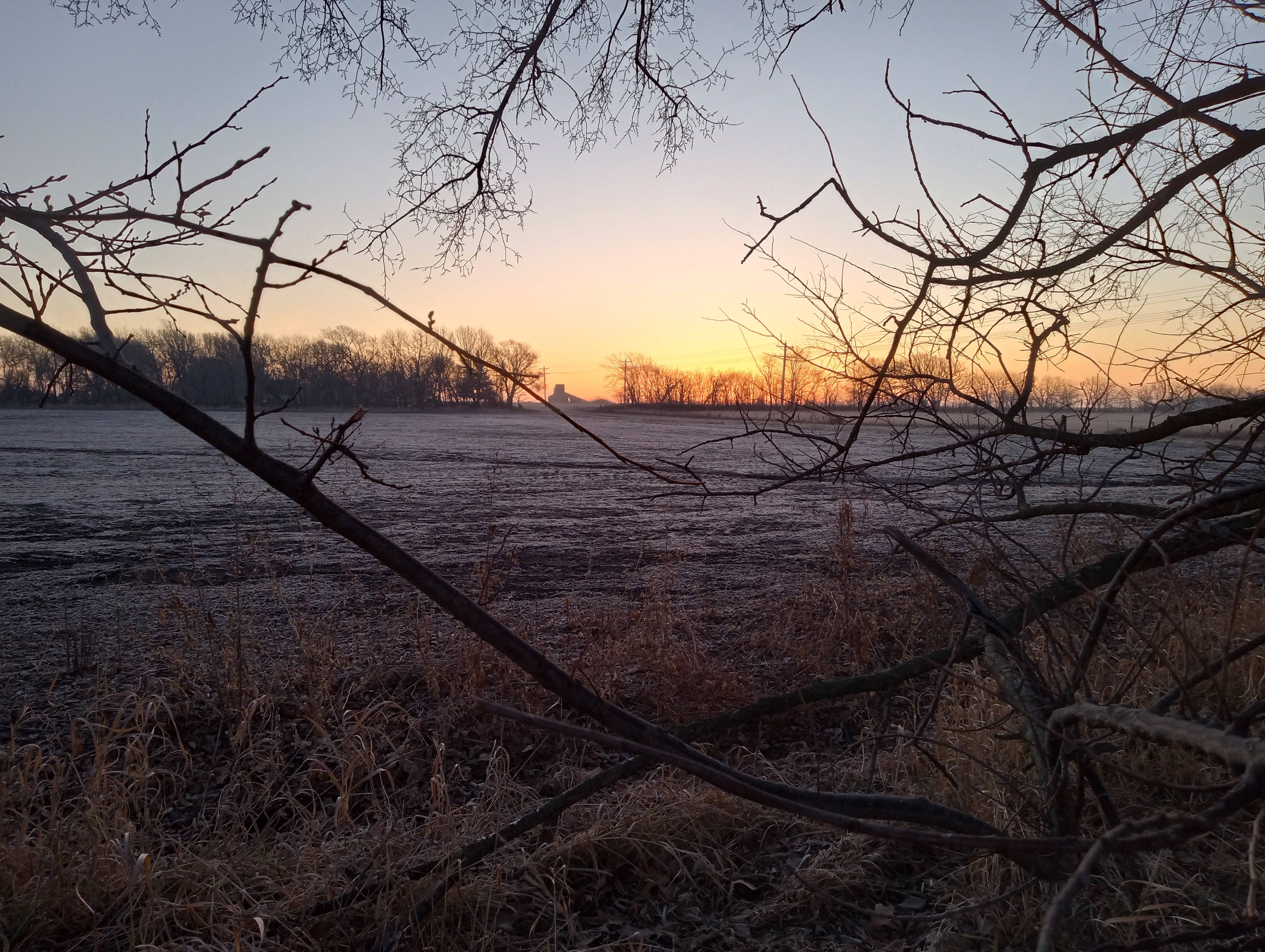 Motorola Moto G Play photo sample - 8