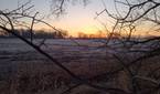 Motorola Moto G Play photo sample - 8