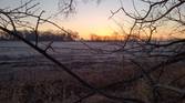 Motorola Moto G Play photo sample - 8