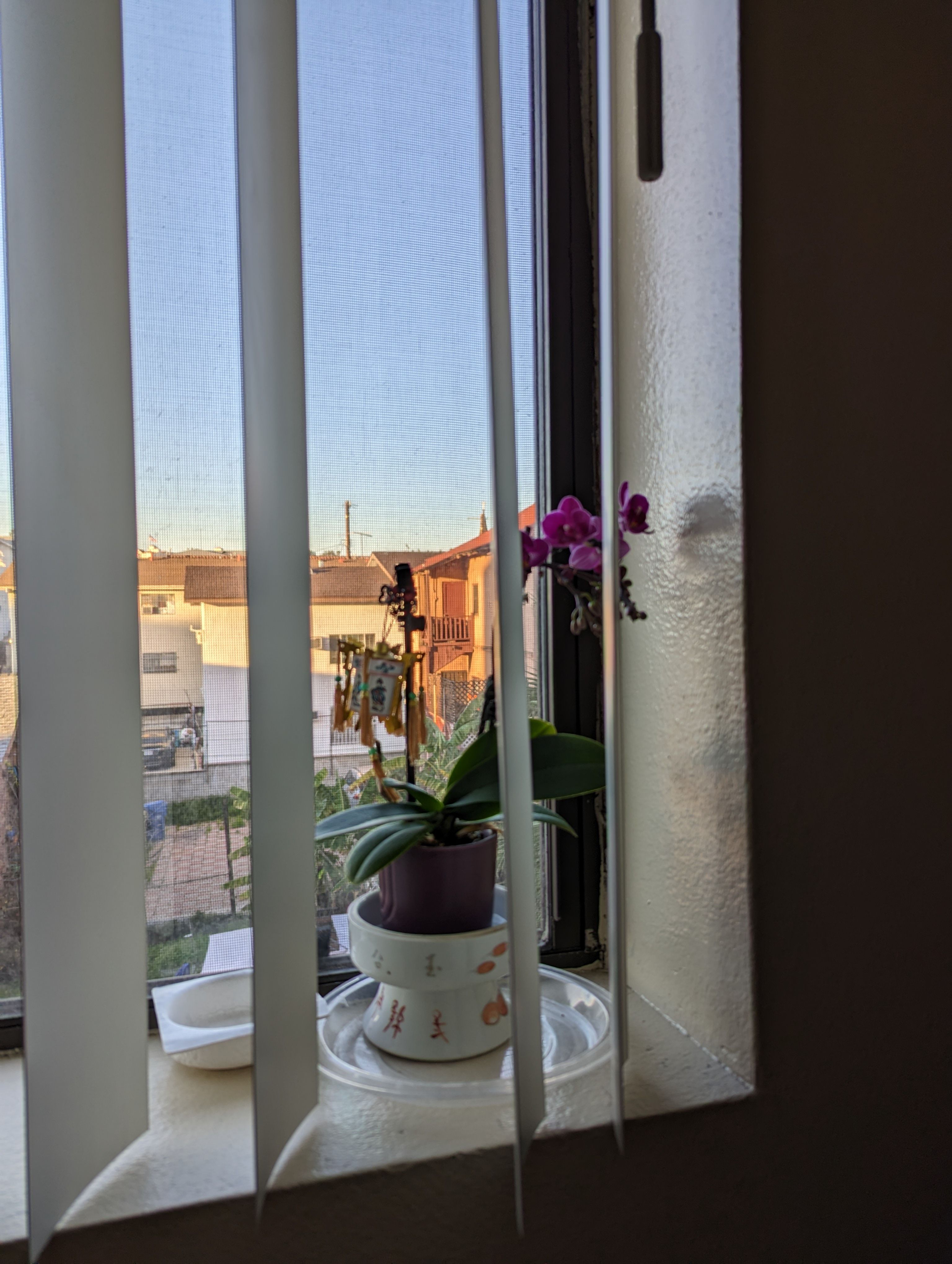 PXL_20230128_004116814