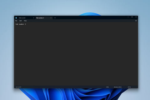 Screenshot of the Windows 11 Notepad app with two tabs open