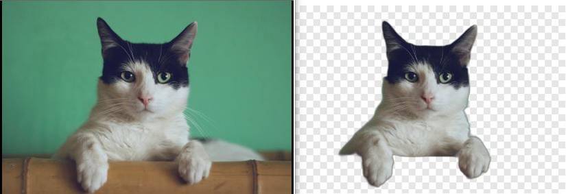 How to remove image backgrounds with TinyWow