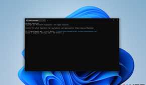 Screenshot of Windows Terminal backing up a WSL distro