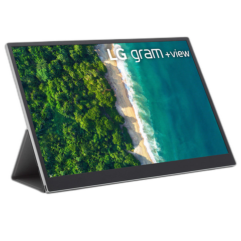 LG Gram +View
