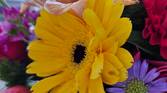 Samsung Galaxy S23+ camera sample 20230218_134136