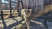 Samsung Galaxy S23 Ultra camera sample - 014 (1)