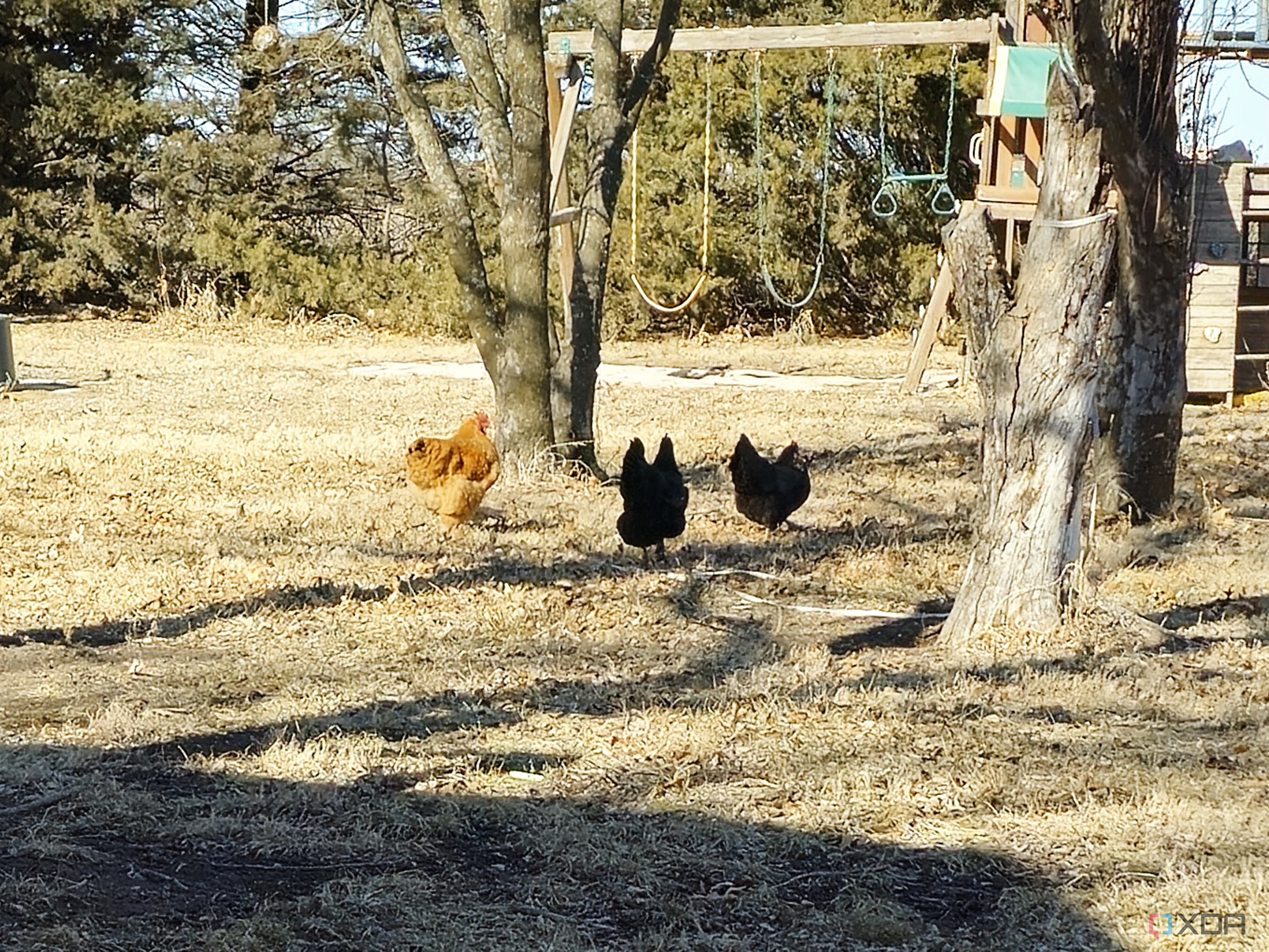 Samsung Galaxy S23 Ultra camera sample - 021 (1)
