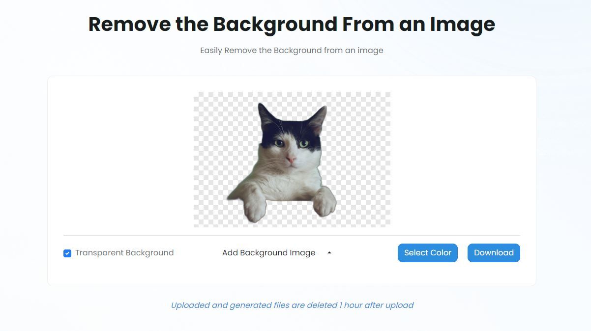 How to remove image backgrounds with TinyWow
