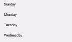 w_5_Android_14_regional_preferences_first_day_of_week