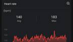 Amazfit GTR Mini - Zepp app screenshot heart rate