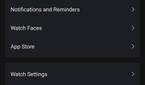 Amazfit GTR Mini - Zepp app screenshot watch settings