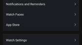 Amazfit GTR Mini - Zepp app screenshot watch settings