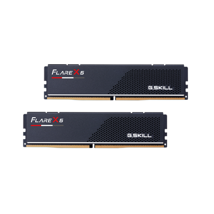 The G.Skill Flare X5 Series DDR5 memory.