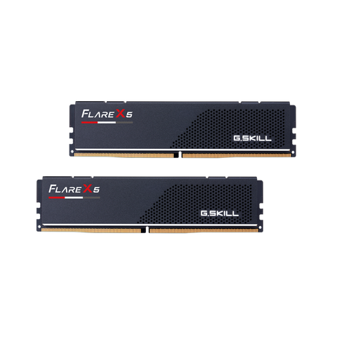 The G.Skill Flare X5 Series DDR5 memory.