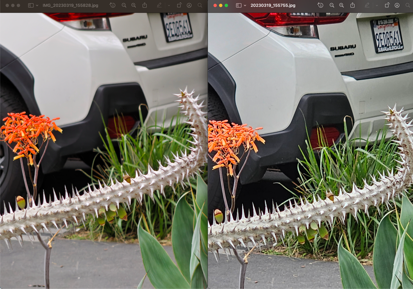 Find X6 Pro, main camera (left); S23 Ultra, main camera (right). 