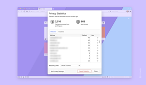 Vivaldi privacy statistics page