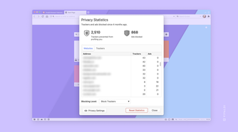 Vivaldi privacy statistics page