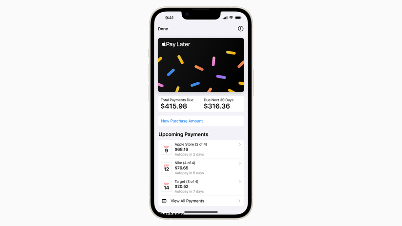 Apple Pay Later Main interface screen 