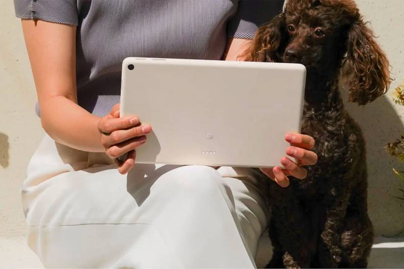 An image showing the back of the Google Pixel Tablet in Beige color in the hands of a person sitting next to a dog.