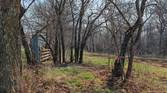 Daytime photo through trees of new green grass and burnt grass