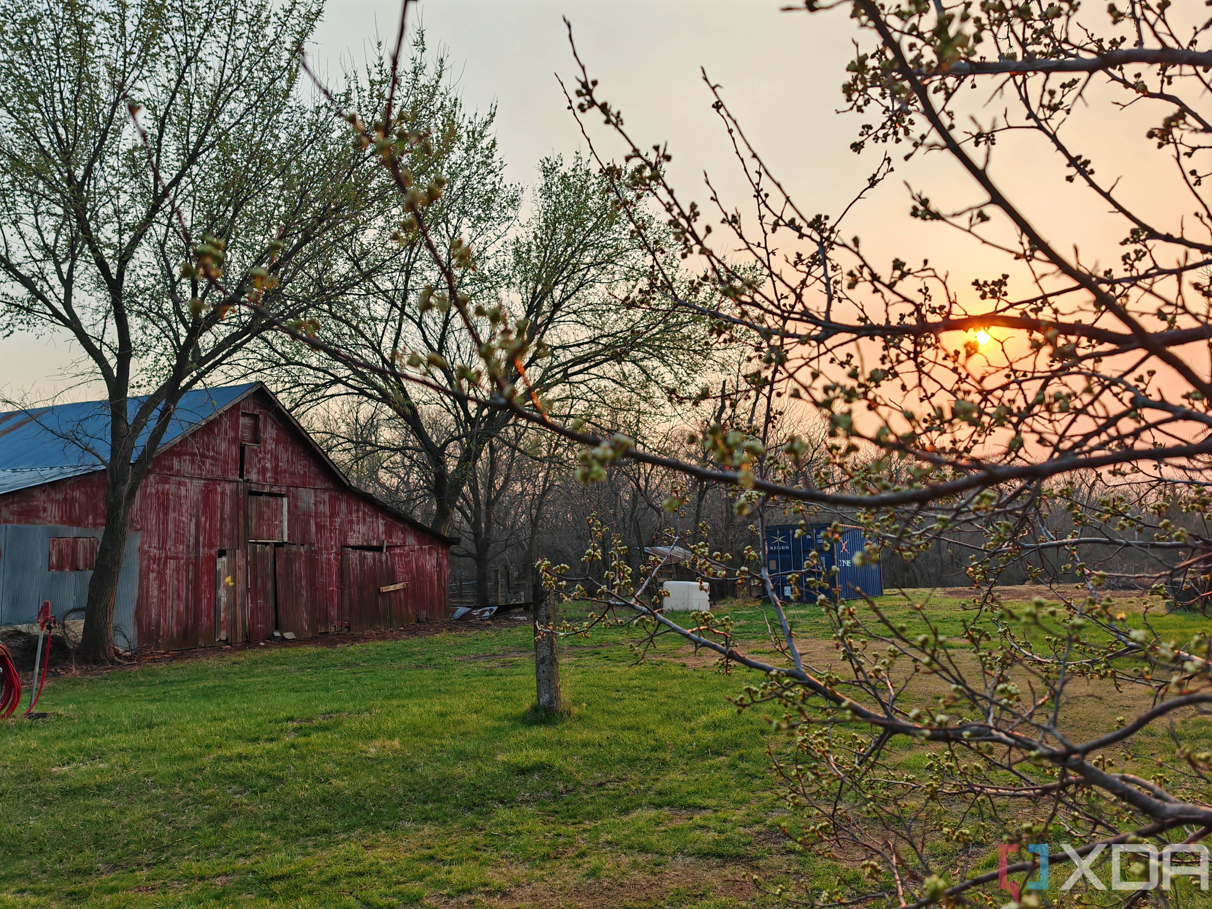 Photo of a barn at sunset through budding tree