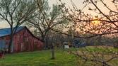 Photo of a barn at sunset through budding tree