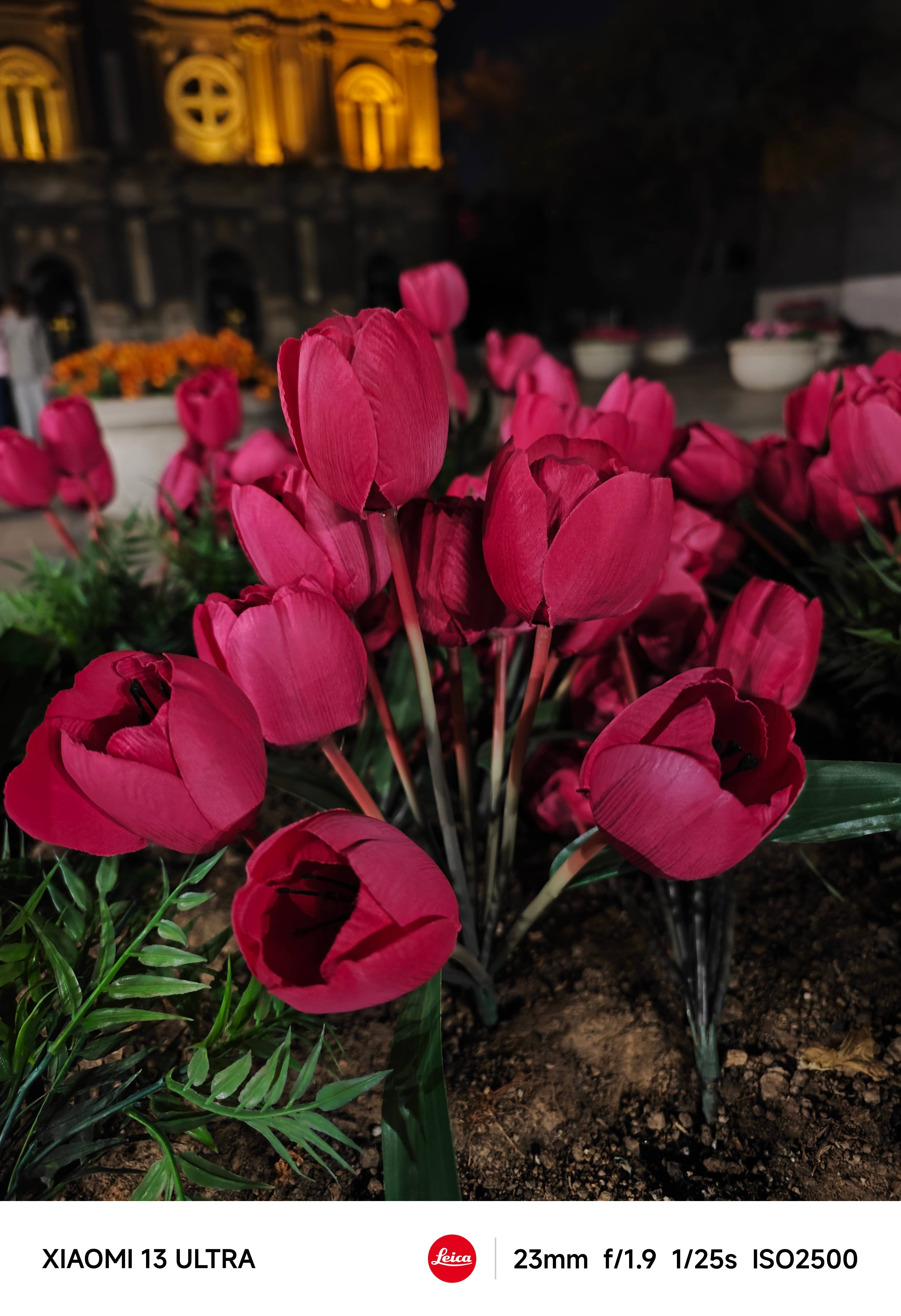 Xiaomi 13 Ultra photo sample