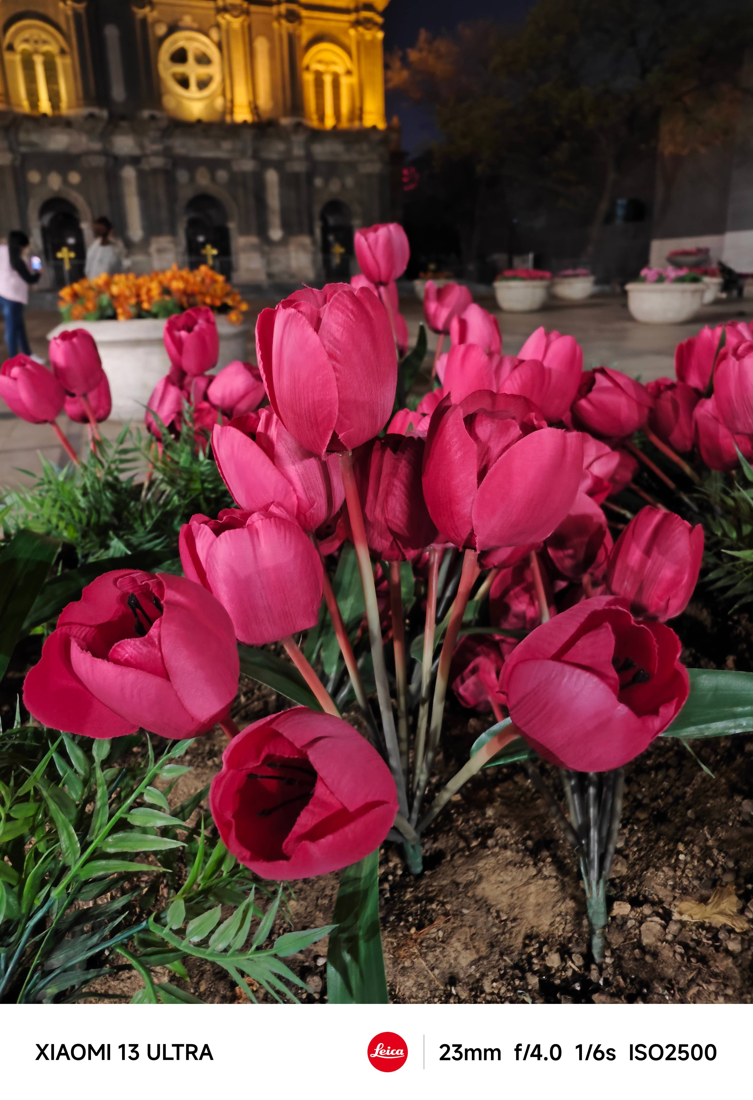 Xiaomi 13 Ultra photo sample