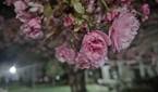 IMG_20230418_220816045