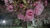 IMG_20230418_220816045