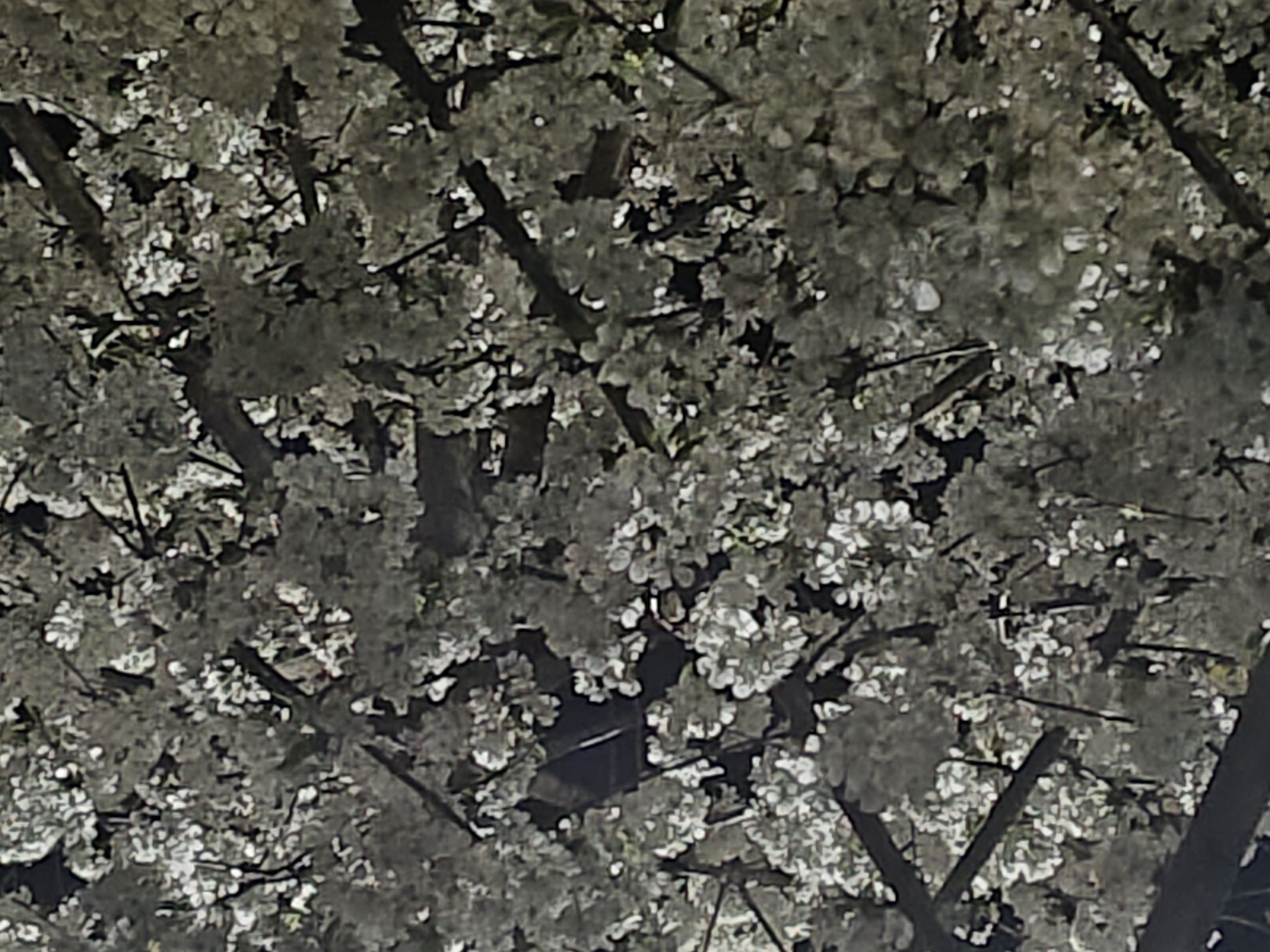 IMG_20230418_220907869