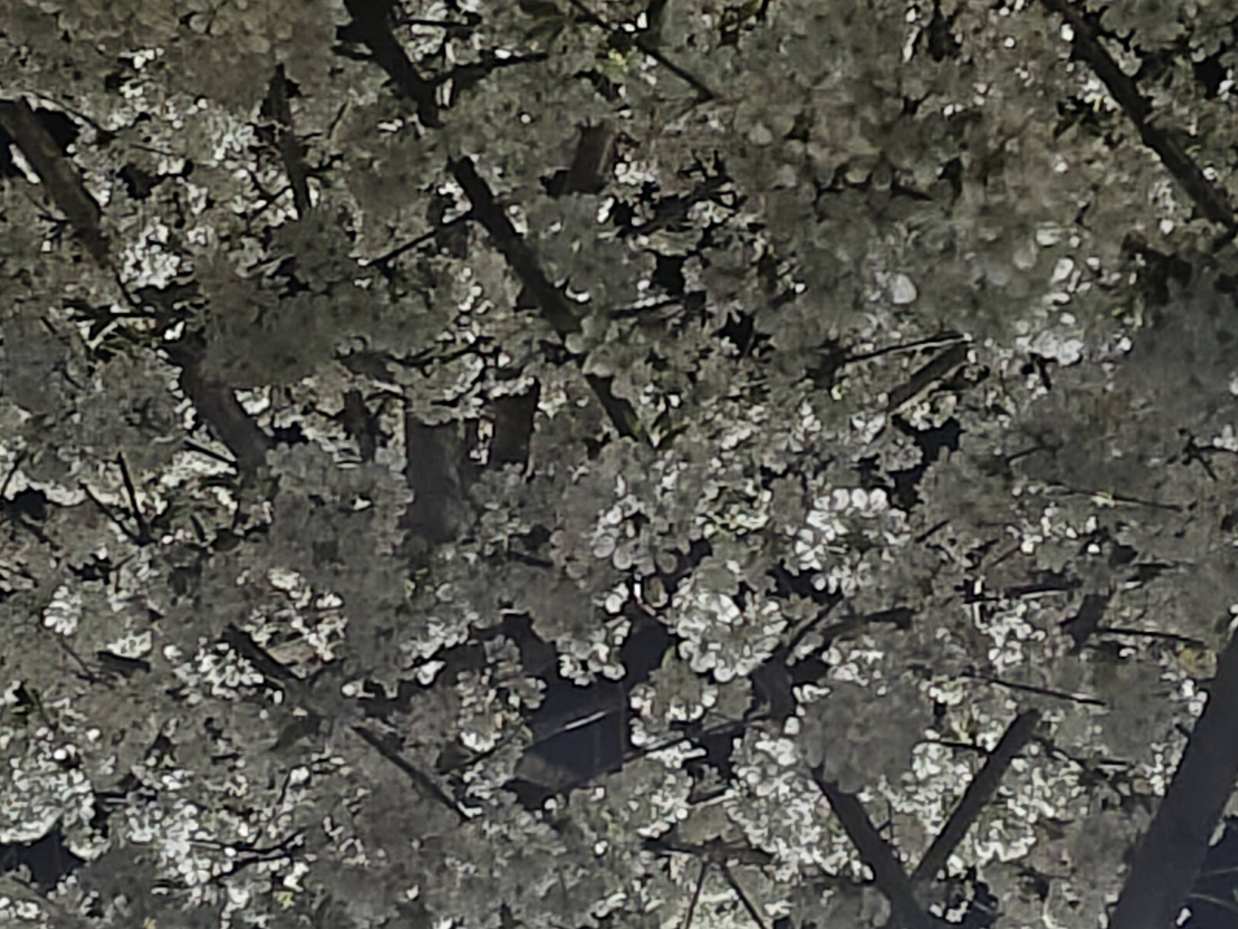 IMG_20230418_220907869