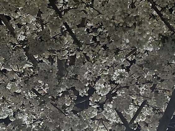 IMG_20230418_220907869