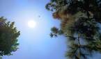 IMG_20230428_141944279
