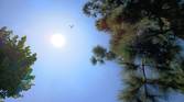 IMG_20230428_141944279