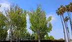 IMG_20230428_143405266